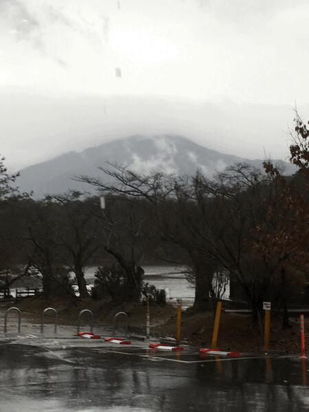 本日は雨_e0249086_12173400.gif