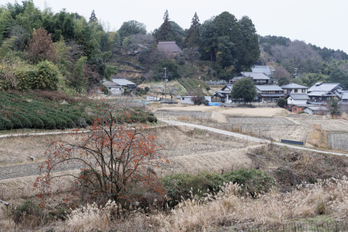 e0366896_17564863.jpg