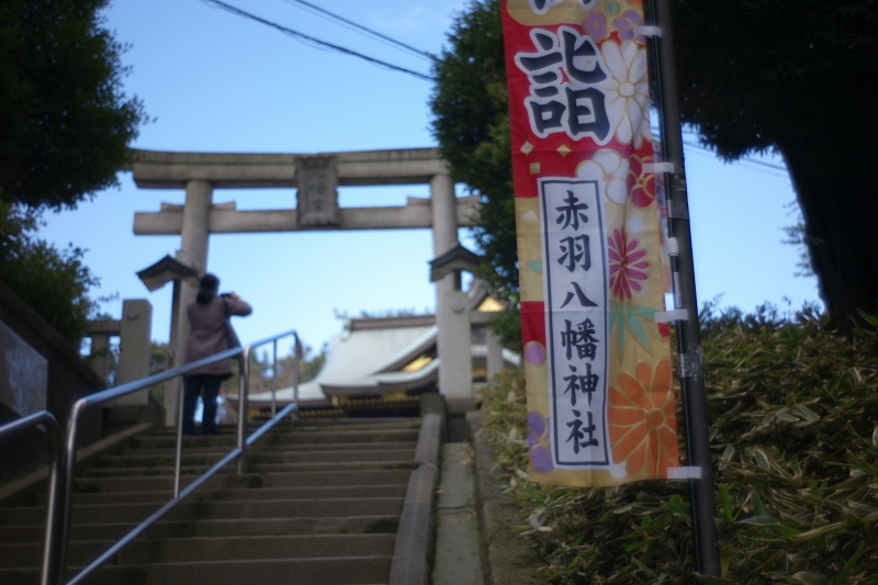 赤羽八幡神社_b0352397_17462912.jpg