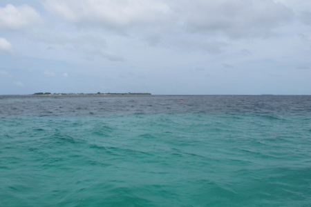 e0338303_1618244.jpg