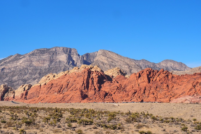 e0087008_8265840.jpg