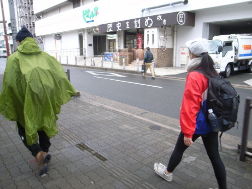 ギシギシと、、_a0353113_19094038.jpg