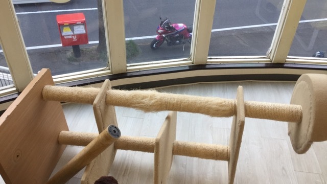 d0221319_10342730.jpeg