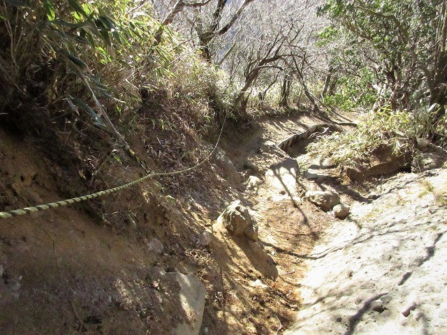 箱根　金太郎の里から登る金時山　　　　　Mount Kintoki in Fuji-Hakone-Izu National Park_f0308721_13225936.jpg