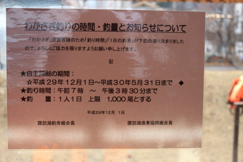 諏訪湖のワカサギ_a0272422_21544610.jpg