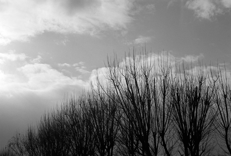 c0176622_14091549.jpg