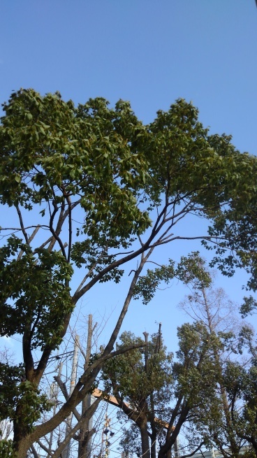 c0236632_17265740.jpg