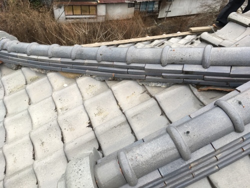 b0242734_10134079.jpeg