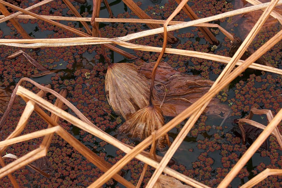 c0067040_23335832.jpg