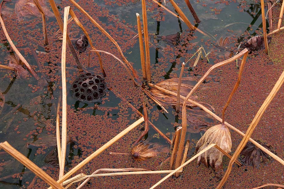 c0067040_23353990.jpg