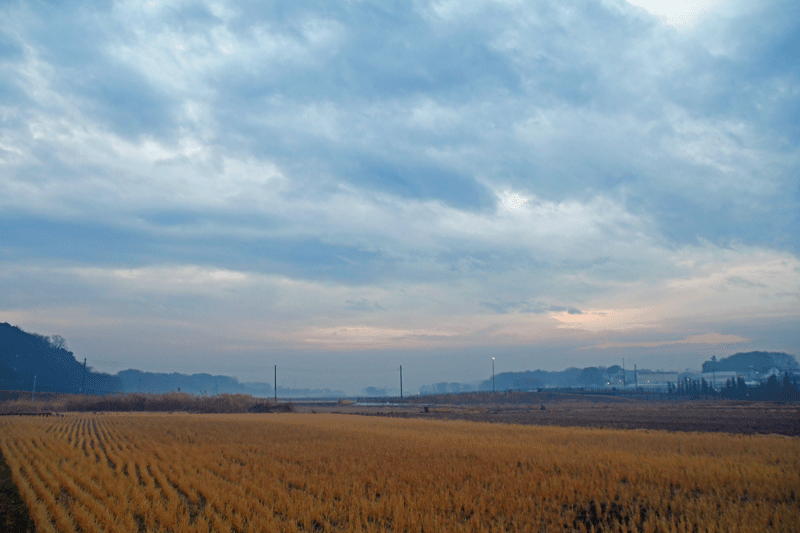 d0290240_10194377.gif