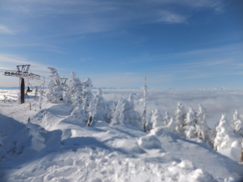 e0041047_06045670.jpg