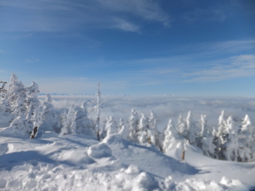 e0041047_06081372.jpg