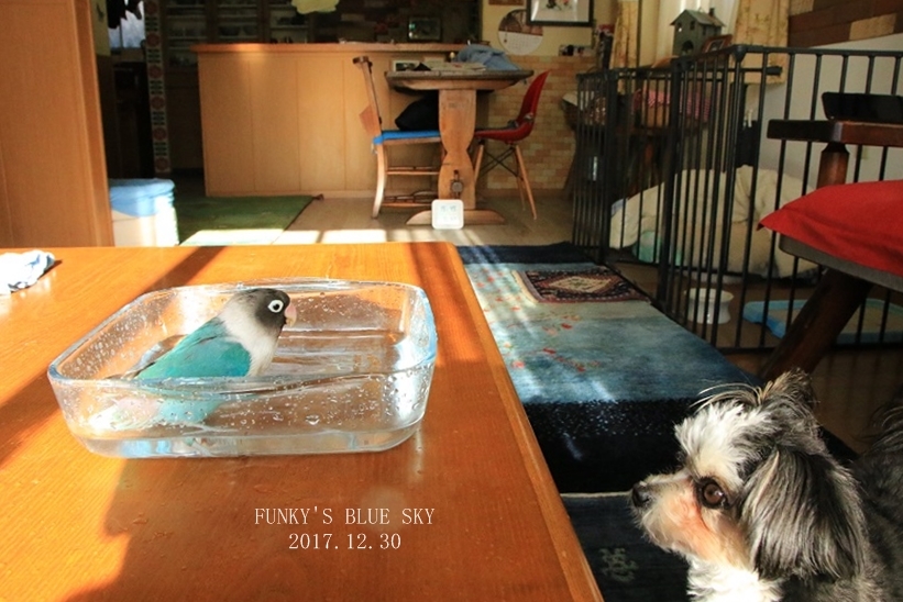 c0145250_09141030.jpg