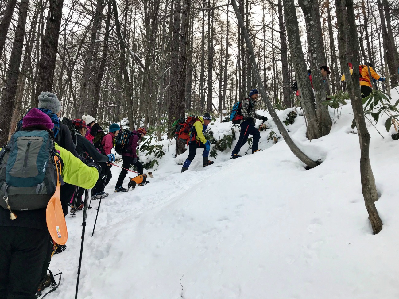 ☆2018.1.8 藻岩山_e0105954_14353669.jpg