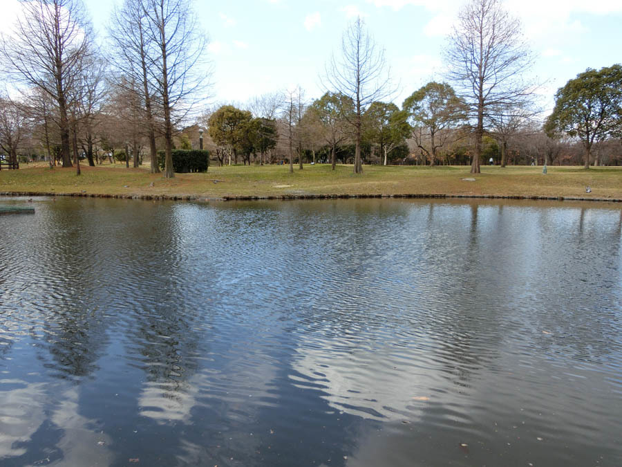 e0019563_00285373.jpg