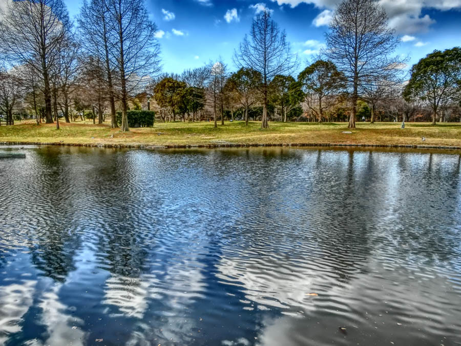 e0019563_00293891.jpg