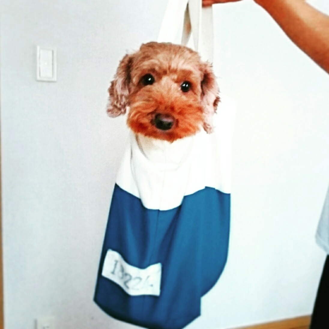 c0311170_23111061.jpg