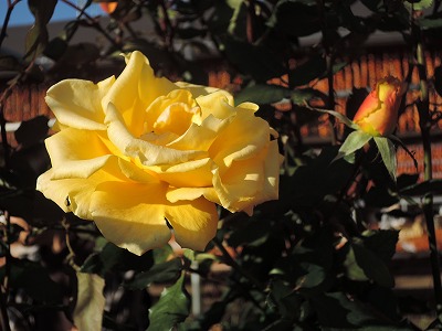 e0275976_14525196.jpg