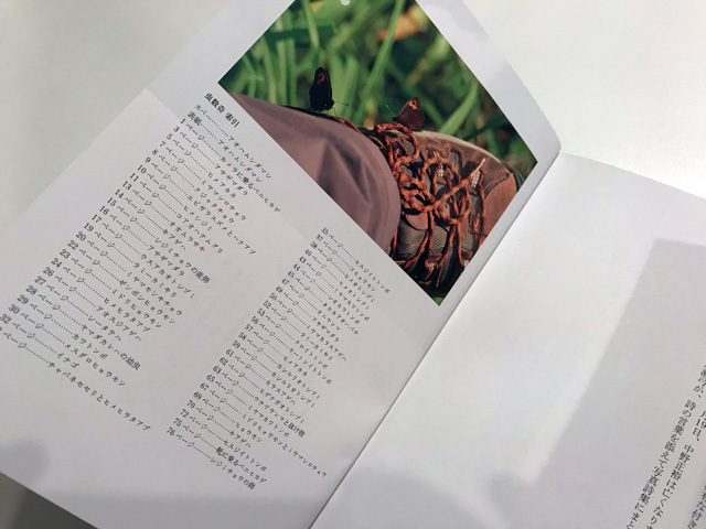 詩と写真と虫の本。_f0071480_17280592.jpg