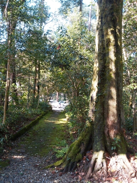 e0371086_16533216.jpg