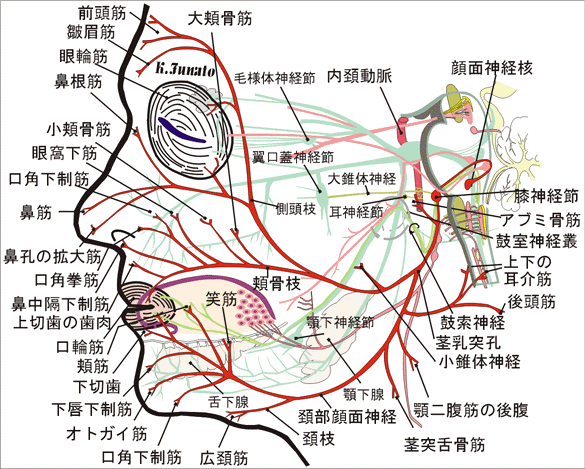 d0166389_23214663.gif