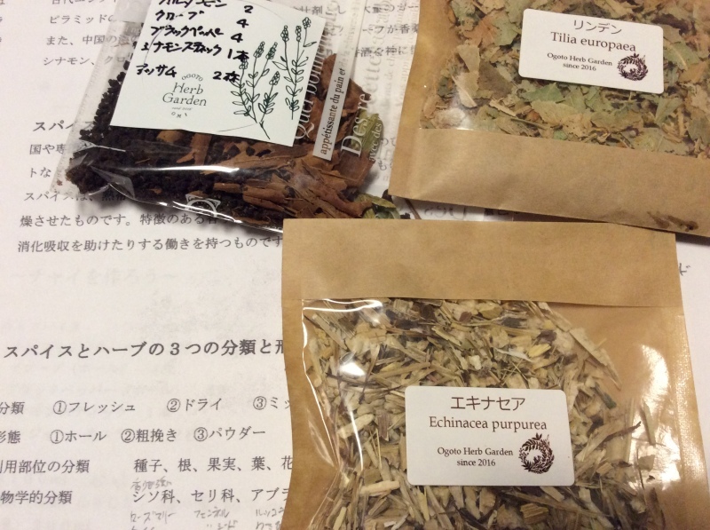 b0220002_16555356.jpeg