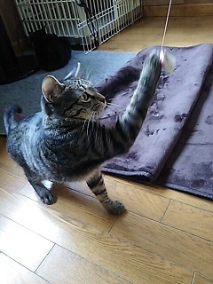 睡眠の邪魔をする・・_f0242002_23441555.jpg