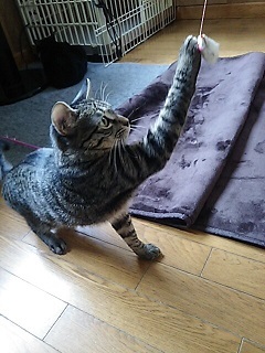 睡眠の邪魔をする・・_f0242002_23442052.jpg