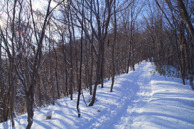 a0345007_2105352.jpg