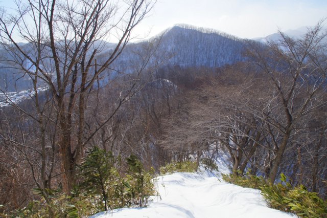 a0345007_2185544.jpg