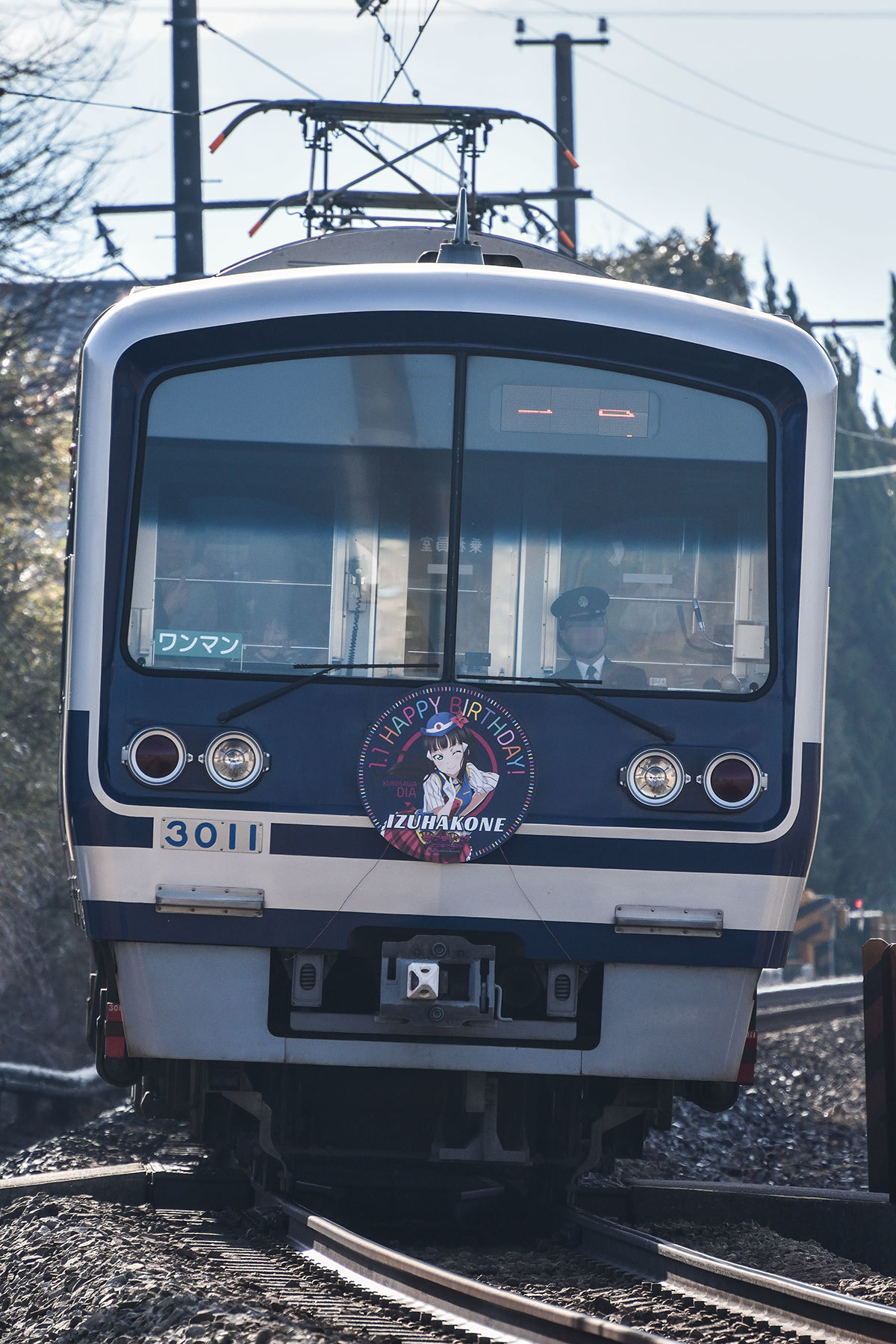 伊豆箱根鉄道 3000系 / 3506F - HAPPY PARTY TRAIN「黒澤ダイヤ」-_d0226909_17422750.jpg