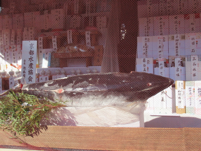 十日えびす 宝恵かご社参_e0048413_21213561.jpg