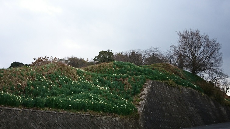 f0228619_13434837.jpg