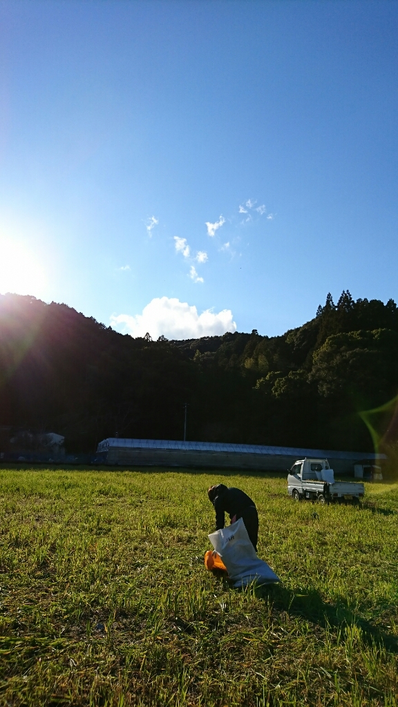 b0187620_20250391.jpg