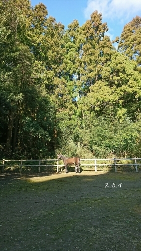 b0187620_20252085.jpg