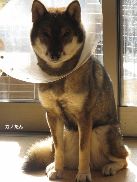 f0143123_10311875.jpg