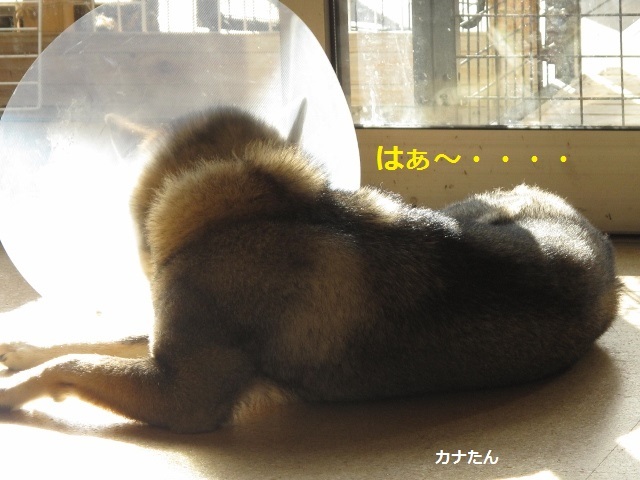 f0143123_10364729.jpg