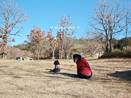 第7回キャンプ『マザーウルフCAMP~2017冬~in 静岡』①前篇_e0191026_18411276.jpg