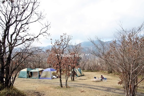 第7回キャンプ『マザーウルフＣＡＭＰ～2017冬～in 静岡』①前篇_e0191026_18450248.jpg