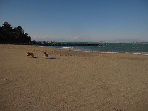 e0350927_17535525.jpg