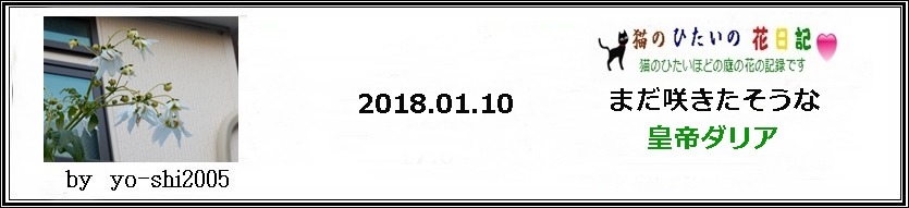 e0033229_18423370.jpg