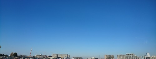 b0075140_20205074.jpg
