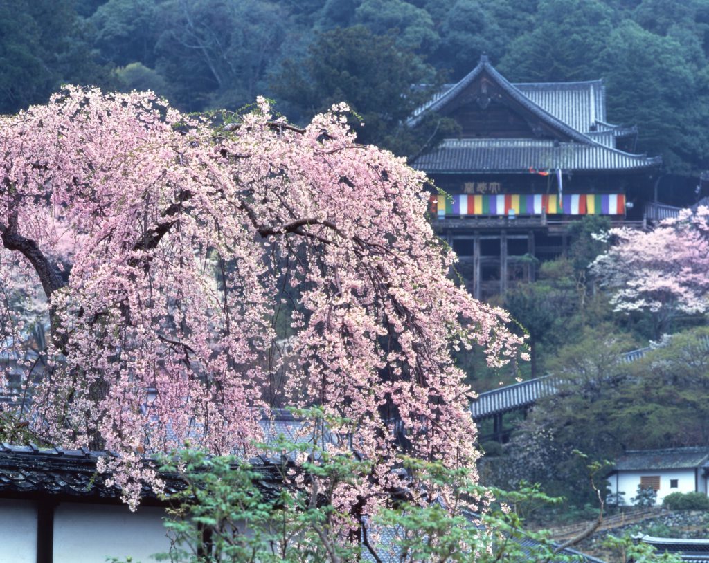 a0100742_11221875.jpg