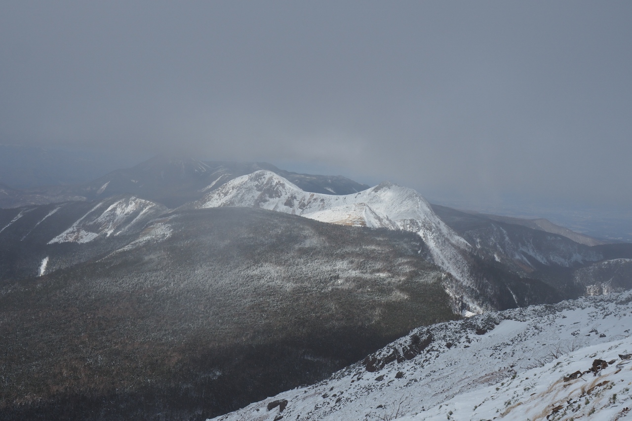 b0189948_20532990.jpg