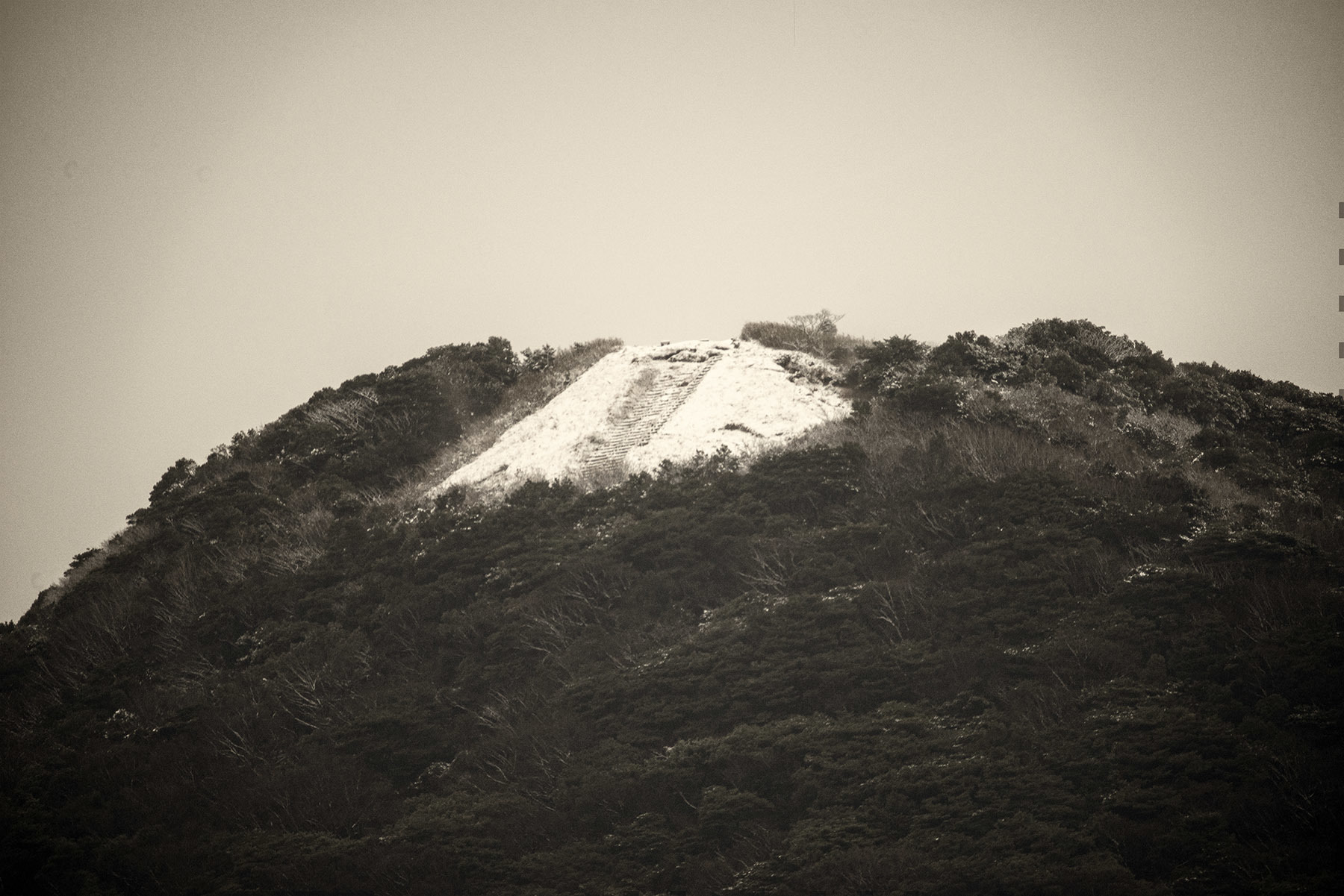 c0028861_22351193.jpg