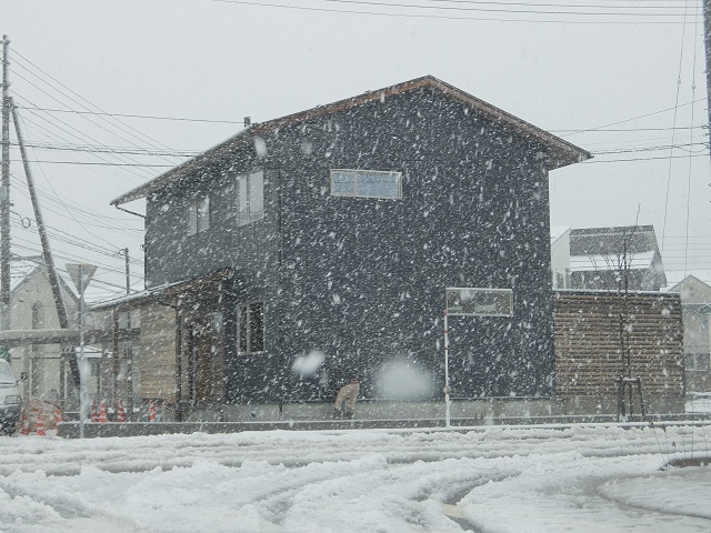 c0247768_1059533.jpg