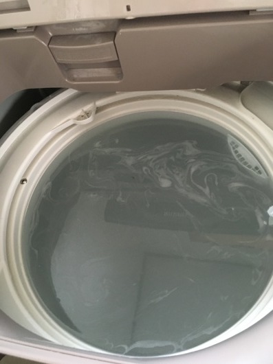 b0335376_12502652.jpeg