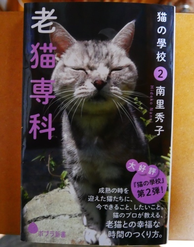 本日発売『猫の學校2 老猫専科』華ちゃん♪_f0054677_04090441.jpg