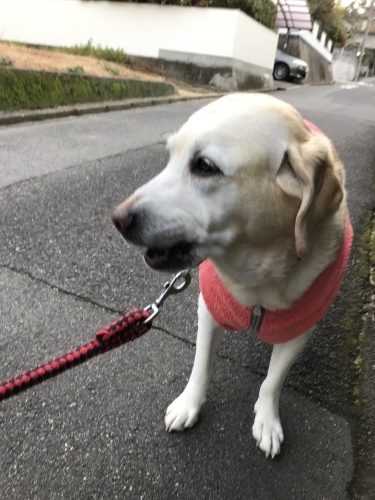 f0315081_22191632.jpeg